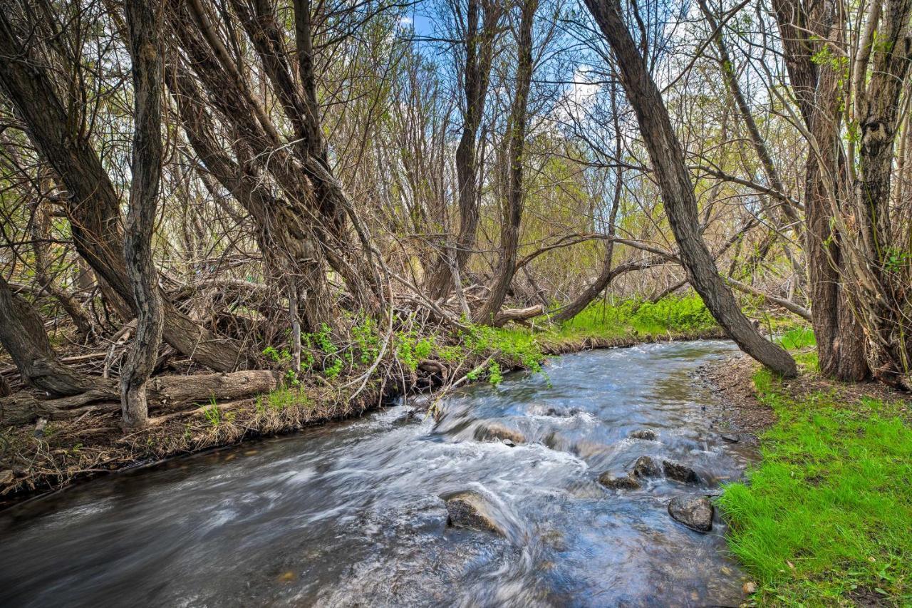 Mammoth Lakes Nature Escape Hot Tub Access! Экстерьер фото